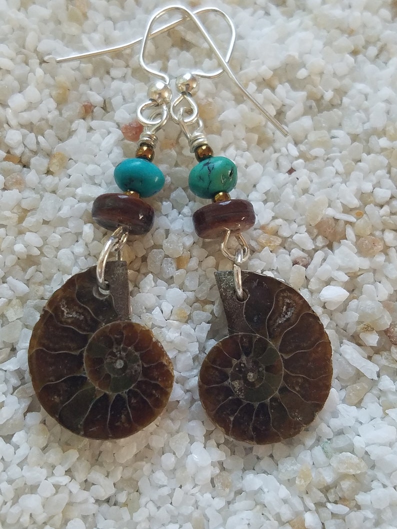 Ammonite Fossil Earrings with Turquoise Accents