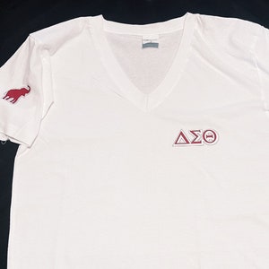 Delta Sigma Theta Summer V-Neck Shirt