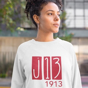Delta Sigma Theta Sweatshirt & Hoodie - J13 v2 - White