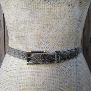 May include: A brown snakeskin belt with a gold-toned buckle. The belt is on a mannequin.