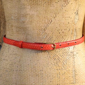 Può includere: Una cintura rossa con texture a pelle di serpente e fibbia color oro. La cintura è sottile e sembra essere in pelle. La cintura è avvolta attorno a un manichino.