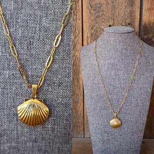 Puede incluir: Un collar dorado con un colgante de concha. El colgante es un diseño de concha detallado y tridimensional. El collar se exhibe sobre un maniquí gris y un fondo texturizado gris.