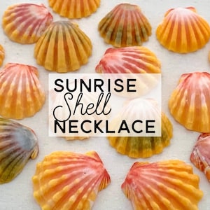 Custom Sunrise Shell Necklace, Hawaiian Shell Jewelry, Sunrise Shell Jewelry, Hawaiian Jewelry, Birthday Gift for Best Friend, Beach Lover