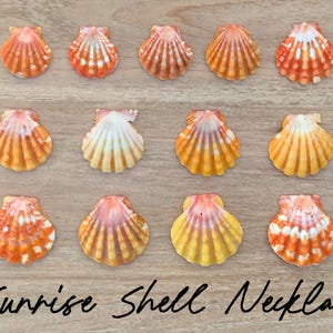 Custom Sunrise Shell Necklace, Hawaiian Shell Jewelry, Sunrise Shell Jewelry, Hawaiian Jewelry, Birthday Gift for Best Friend, Beach Lover