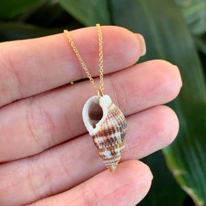 Hawaiian Shell Necklace, Shell Necklace Hawaii, Beach Lover Gift, Hawaiian Shell Jewelry, Birthday Gift for Her, Shell Necklace Pendant