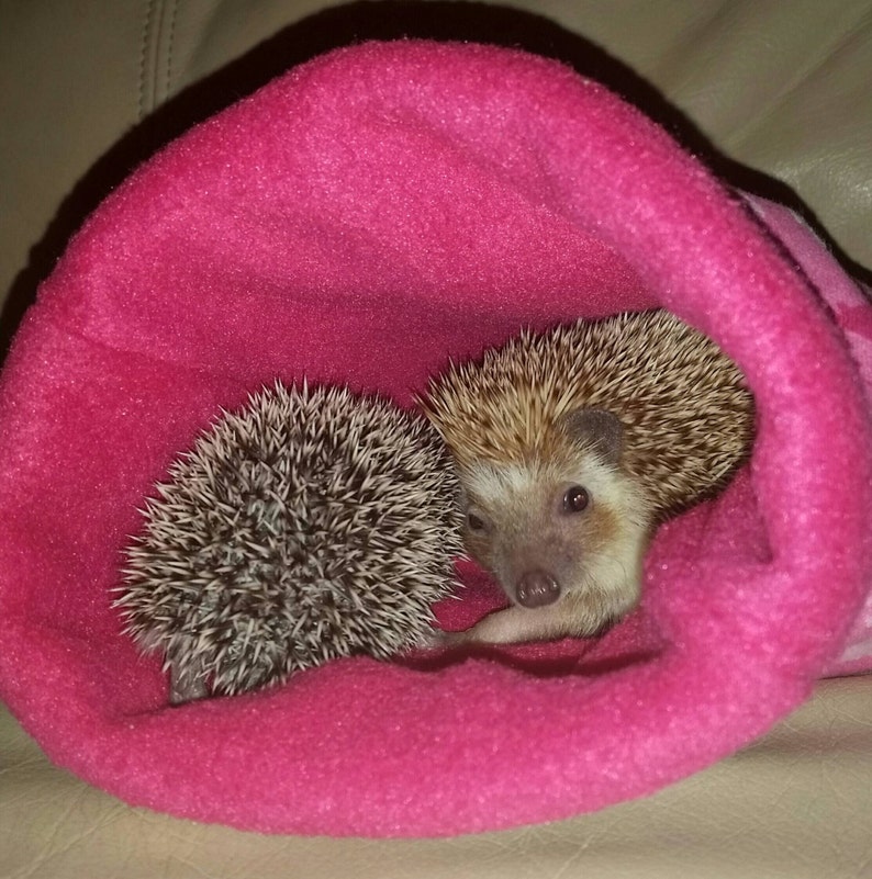 Hot Pink Hedgehogs Small Pet Sleeping Bag Bed Flannel Fleece Etsy