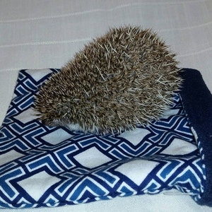 May include: A small hedgehog rests on a blue and white patterned pet bed. The bed has a geometric design and a dark blue, rolled edge. The hedgehog's spiky fur is a mix of brown and tan.