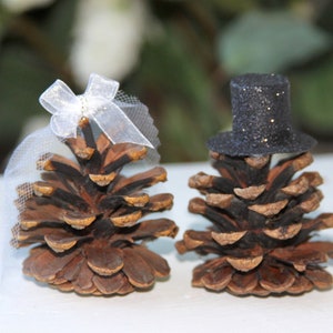 Mr and Mrs Pinecones, Decorazione per torta nuziale, Centrotavola per matrimonio, Pioppo tremulo, Pigne, Montagna, Pino, Decorazione naturale, Rustico, Matrimonio fai da te