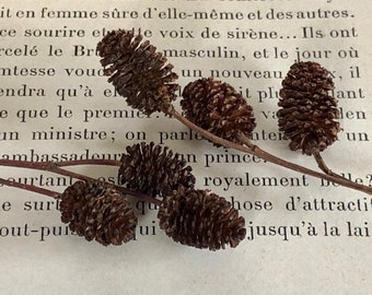 Natural pinecones stems, mini pinecones, Winter Wedding, Baby shower favor, woodland decor, Holidays table decor, gift charms adornment