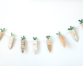 Carrots banner vintage style