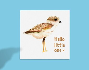 Vogelwenskaart - Vogelliefhebber - Aquarelillustratie - Vogelillustratie - Europese vogels - Minimale illustratie - Robin - Nieuwe baby