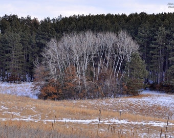 Aspens At Belwin