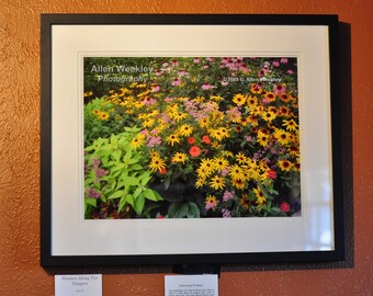 Flowers Along The Niagara