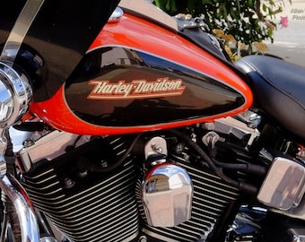 Photograph Of Harley Davidson On Lee Street