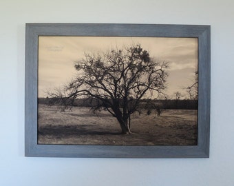 Framed Bois-d'arc Tree Sepia Photograph: East Texas Barnwood Frame