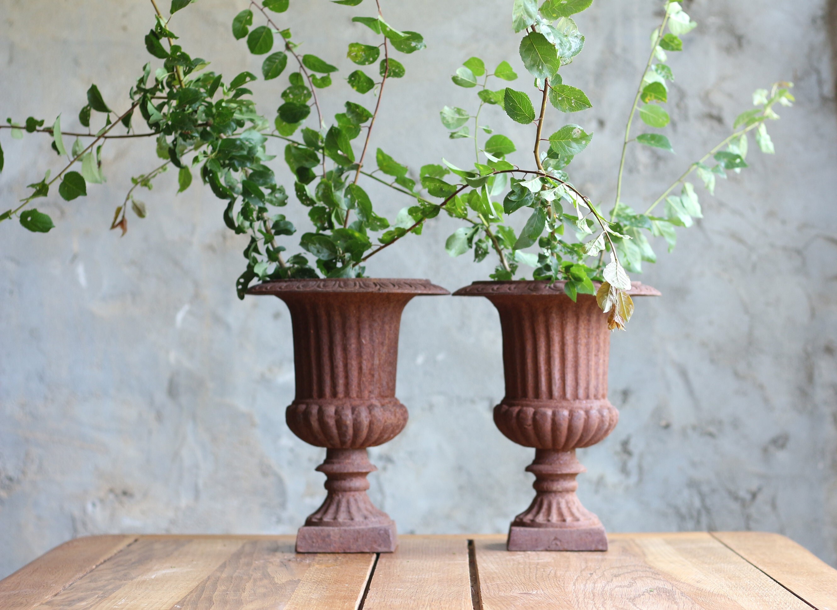 paire De vases Médicis,