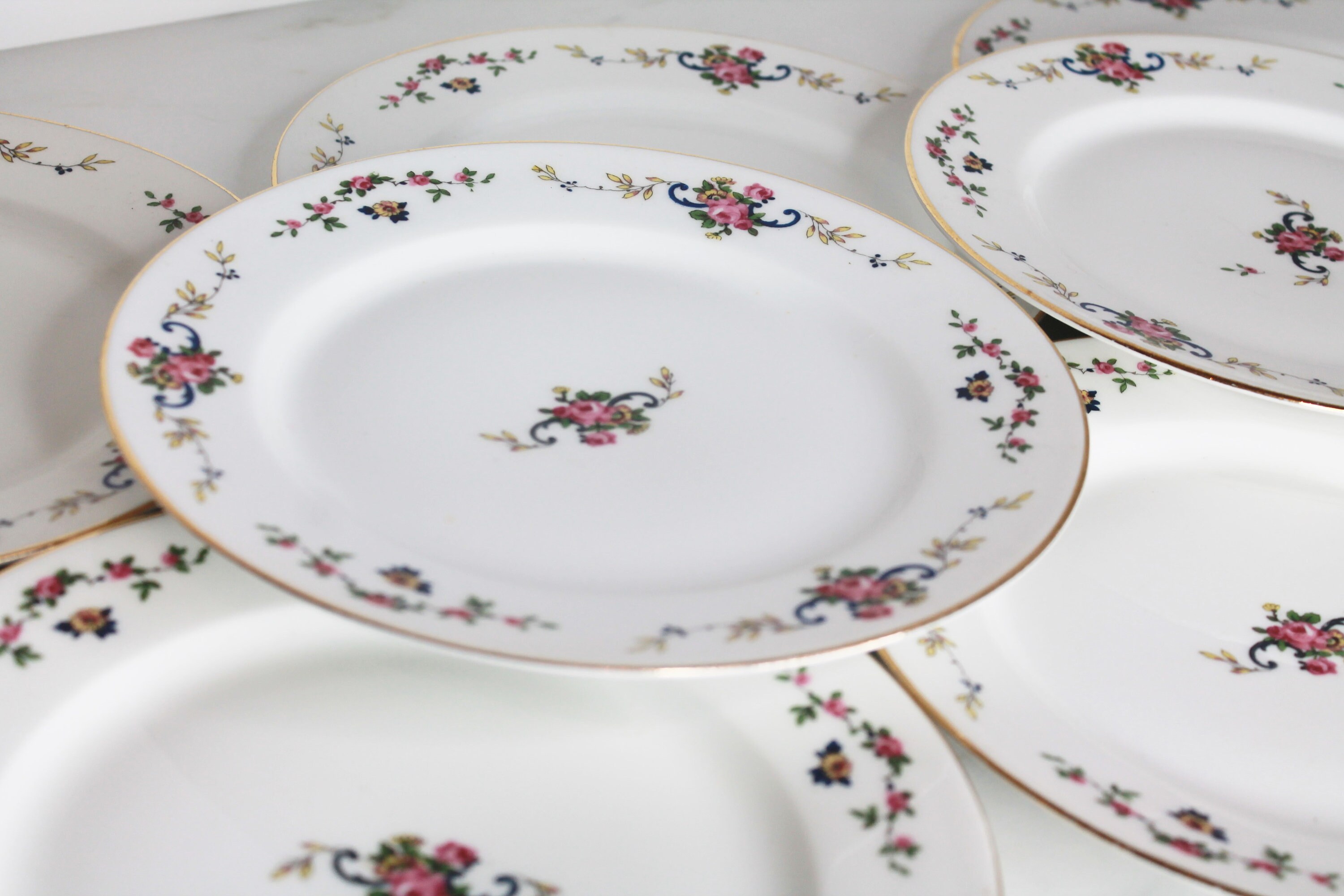 Raynaud Limoges, assiettes