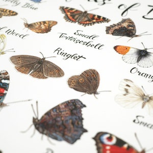 K&ouml;nnte beinhalten: Eine Karte mit Illustrationen verschiedener Schmetterlinge, die in Gro&szlig;britannien heimisch sind. Die Karte enth&auml;lt die Namen der einzelnen Schmetterlinge, wie "Speckled Wood", "Ringlet" und "Orange-tip".