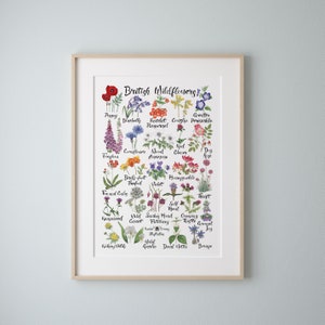 British Wildflowers A4 Poster Nature Print