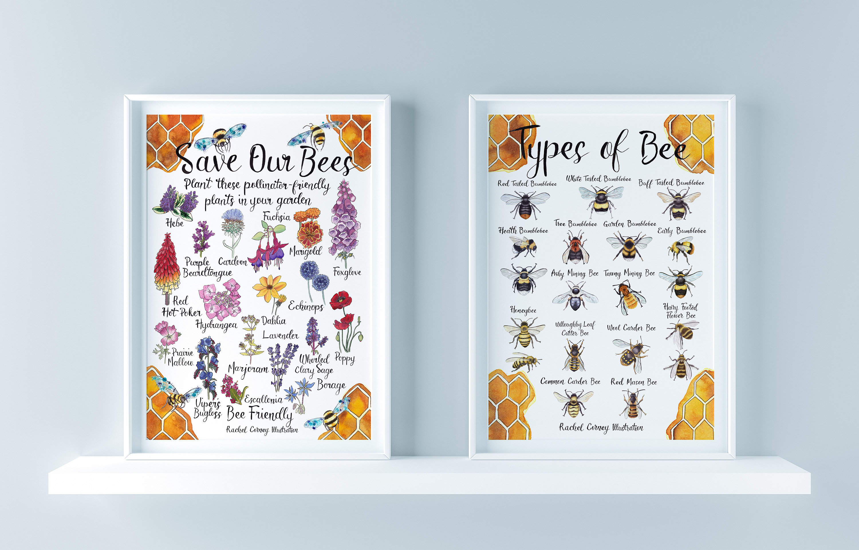 Bee Friendly Save Our Bees Planting for Pollinators Poster A3 Etsy UK