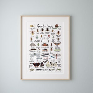 Garden Bugs A4 Poster Nature Print