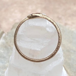 Ouroboros Snake Ring - Bronze Gold Snake Ring - Ouroboros Snake- Infinity Serpent Ring-Ouroboros Jewelry