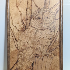 Handmade Owl Pyrography Wall Art | Rustic Burned Wood Forest Decor | Woodland Cabin Style Wall Hanging | Nature Lover Gift | Stunning Detail