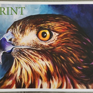 Red Tailed Hawk Giclee Print 20x15&quot;