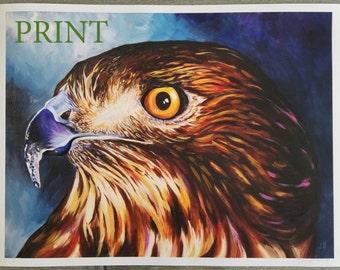 Red Tailed Hawk Giclee Print 20x15"