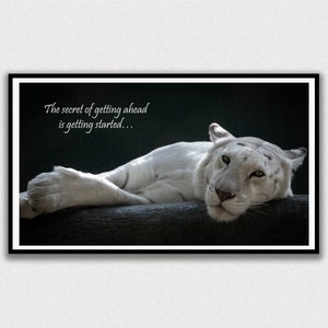 May include: A white tiger lies on a dark surface with the quote "The secret of getting ahead is getting started..." above it.