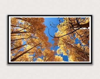 Fall Colors in the Forest Frame TV Digital Art