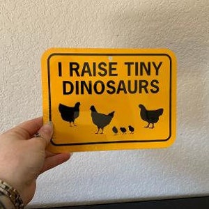 Levanto dinosaurios diminutos divertidos signo de pollo 6x8 pulgadas de metal de aluminio signo