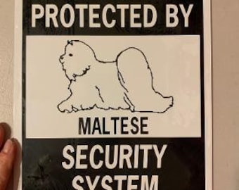 Maltese Funny Dog Signs  9x12 inch Aluminum metal sign