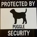 see more listings in the Dog signs section