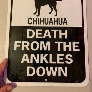 Chihuahua Funny Dog Signs  Chi  9x12 inch Aluminum metal sign