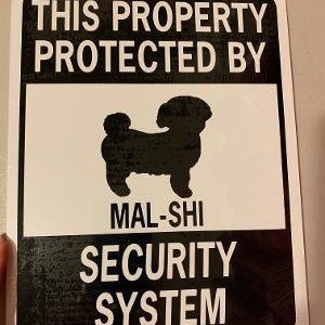 Mal-Shi  (maltese x shih tzu)   Funny Dog Signs  9x12 inch Aluminum metal sign