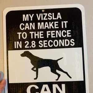 Vizsla   Funny Dog Signs  9x12 inch Aluminum metal sign