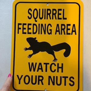 Squirrel Feeding Area Watch Your Nuts Funny Squirrel Sign 9x12 inch Aluminum metal garden sign