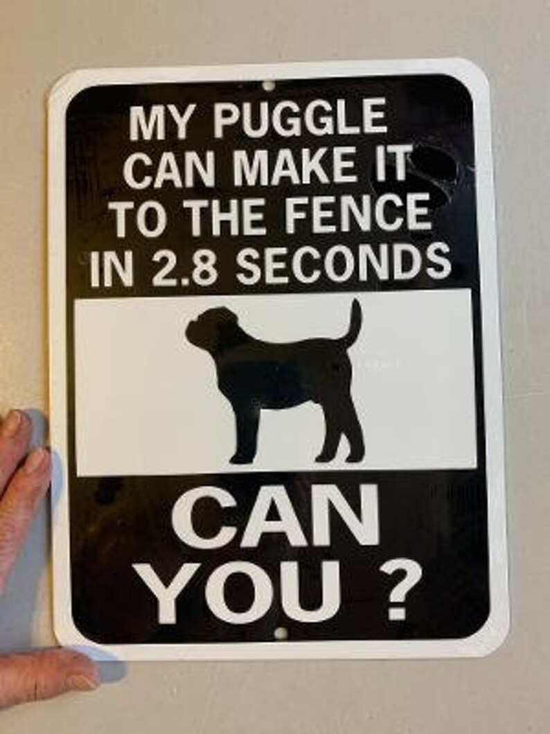 Puggle Sign Puggle (pug X Beagle) Funny Dog Signs 9x12 Inch Aluminum Metal Sign - Etsy