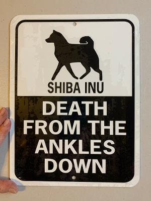 SHIBA INU attenti al cane mod 3 TARGA cartello IN METALLO (15X20