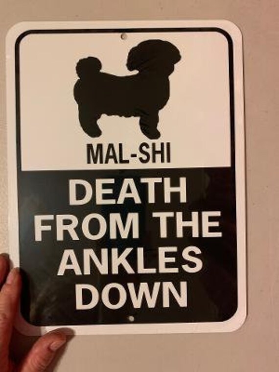 Funny dog cheap signs