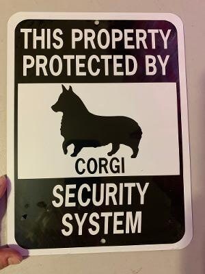 Welsh Corgi Pembroke Warnschild – Metall, A4 (30,5x20 Cm), 0,5 Mm Stark, Mit Hundewarnung, WCP 06 T3
