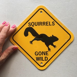 Squirrels gone wild   Funny Squirrel Sign 6x6 inch Aluminum metal garden sign