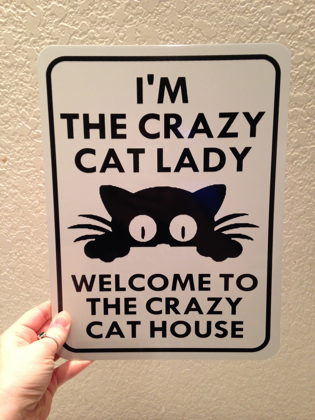 Ich bin die verrückte Katzendame Willkommen zu den verrückten Katze Haus  lustige Zeichen 9 x 12 Zoll Aluminium Metall Zeichen - .de
