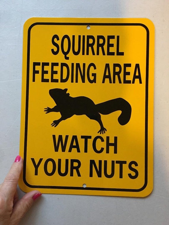 Squirrel Feeding Area Watch Your Nuts Funny Squirrel Sign 9x12 Etsy