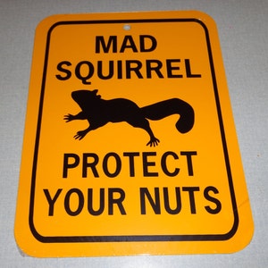 May include: A yellow warning sign with black text and a silhouette of a squirrel. The sign reads "Mad Squirrel Protect Your Nuts".