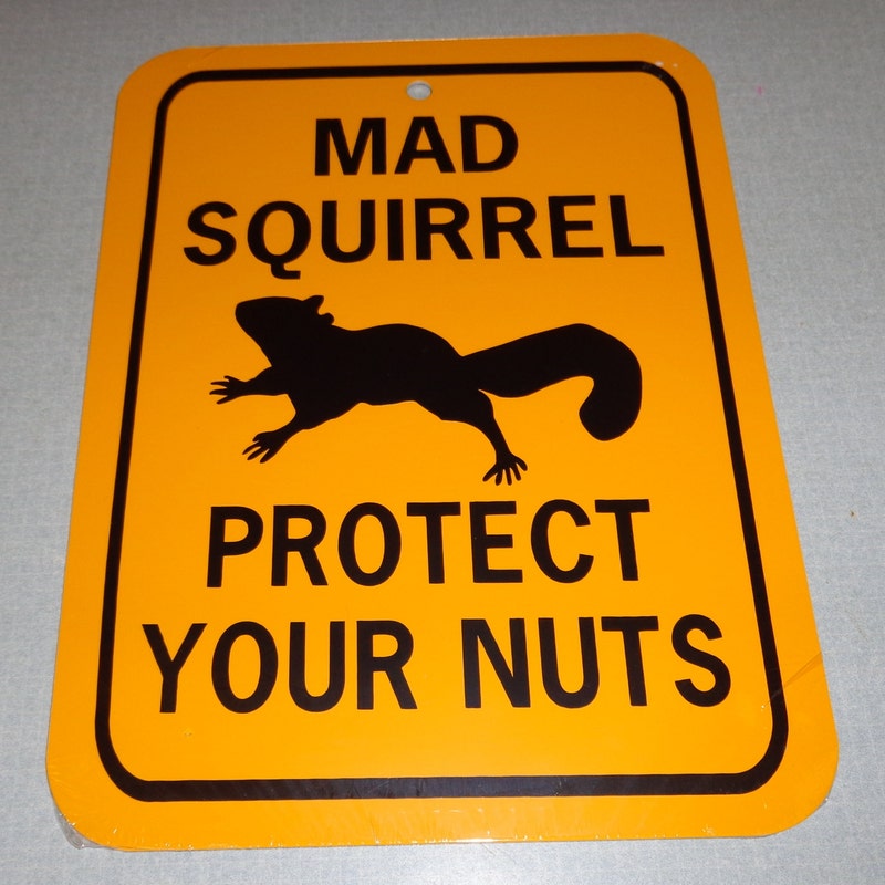 No Nuts Allowed Sign - Etsy UK