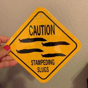 Vorsicht Stampeding Slugs Lustiges Zeichen 6 x 6 Zoll Aluminium Metall Garten Slug
