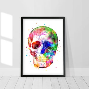 Schädel, Schädel, Anatomisch, Anatomisch, Anatomisch, Anatomisch, Anatomisch, Anatomisches Bild, Aquarellmalerei