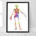 see more listings in the Anatomy - Science section